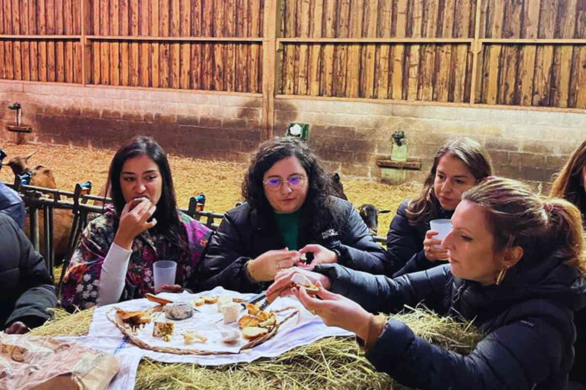 Dégustation de fromage