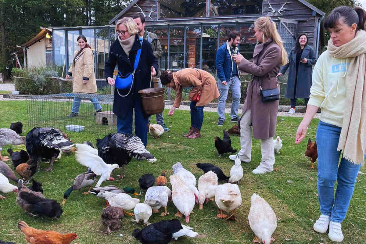 Animaux de la ferme